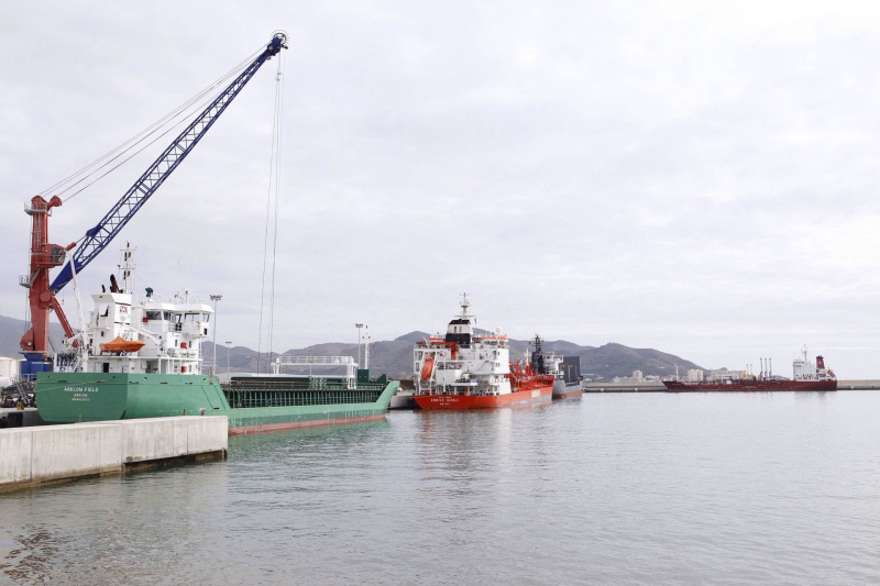 El Puerto de Motril incrementa un 96,6% el número de escalas de buques - Noticia Puerto de Motril